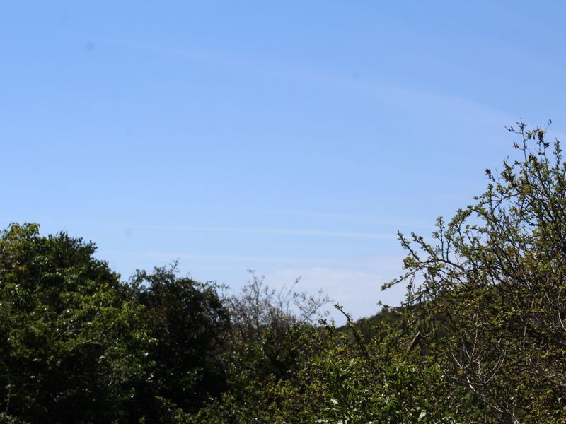 Vacant Land for Sale  in Begha, Eastern Cape - Photo 9