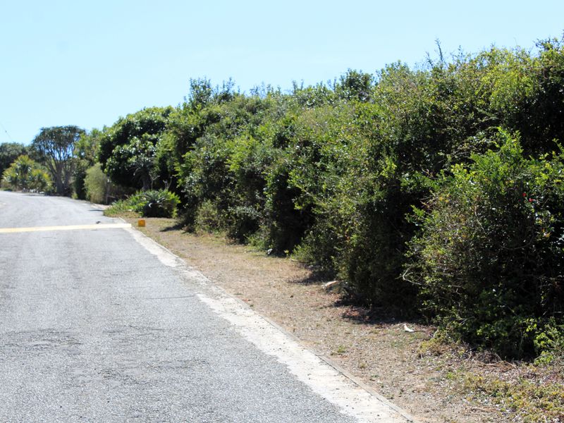 Vacant Land for Sale  in Begha, Eastern Cape - Photo 10