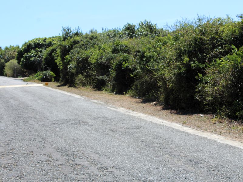 Vacant Land for Sale  in Begha, Eastern Cape - Photo 8