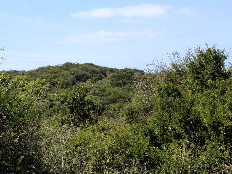 Vacant Land for Sale  in Begha, Eastern Cape - Photo 7