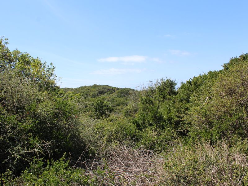 Vacant Land for Sale  in Begha, Eastern Cape - Photo 6