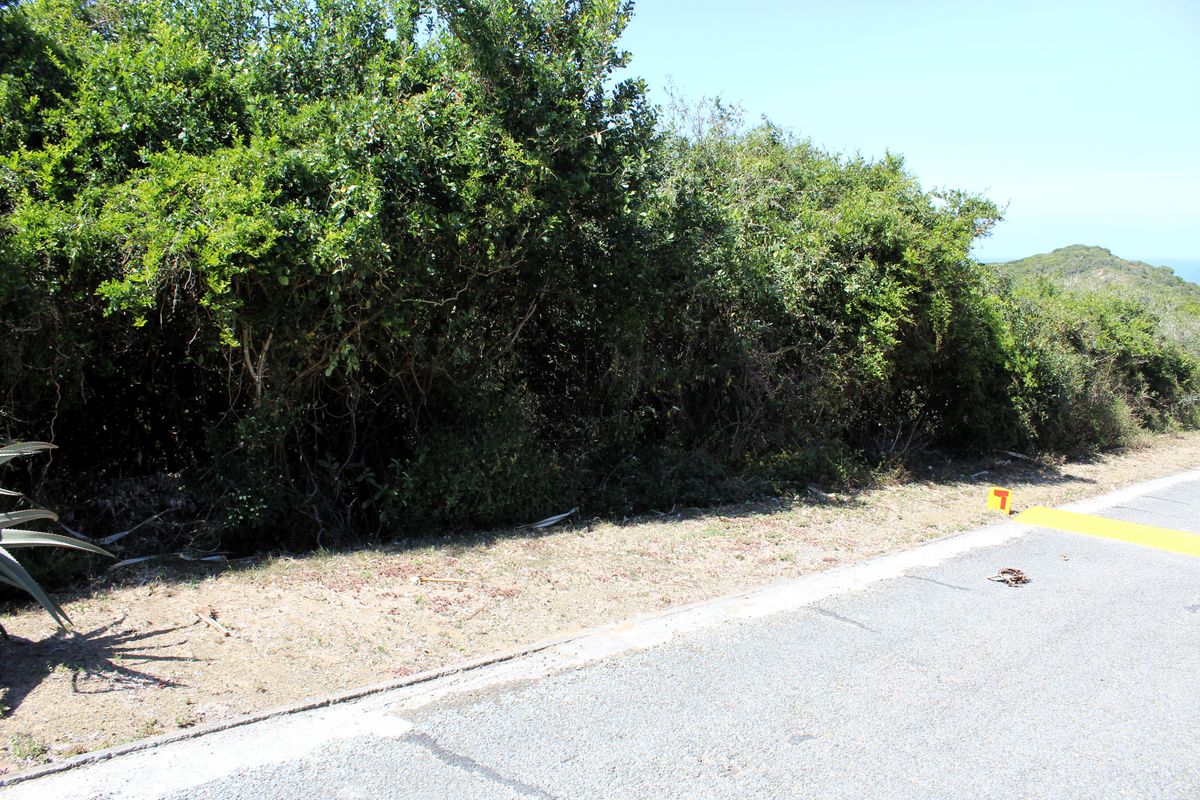Vacant Land for Sale  in Begha, Eastern Cape - Photo 3