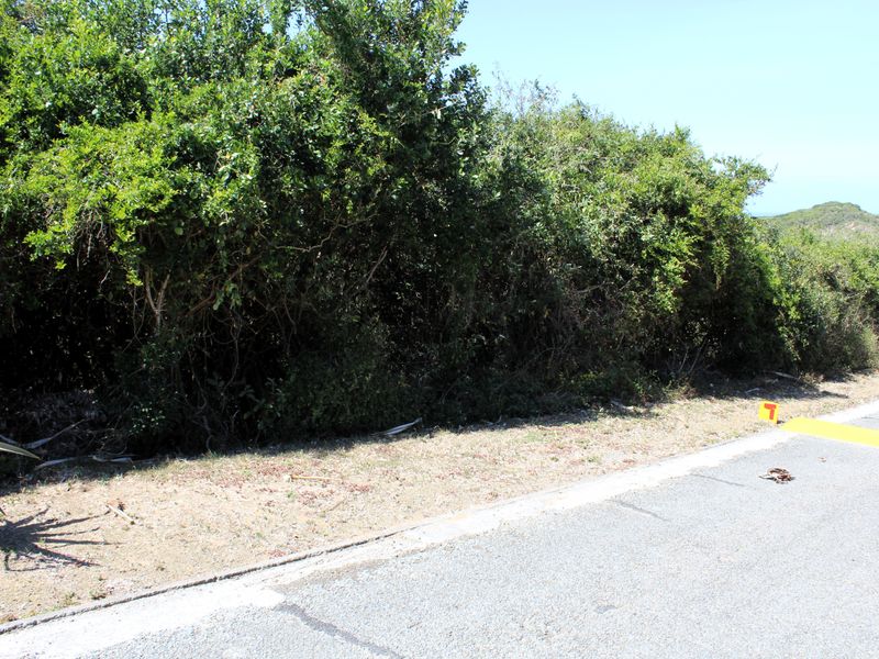 Vacant Land for Sale  in Begha, Eastern Cape - Photo 3