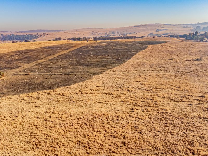 FOR SALE: 12-HECTARE UNTOUCHED BLANK CANVAS - Photo 4