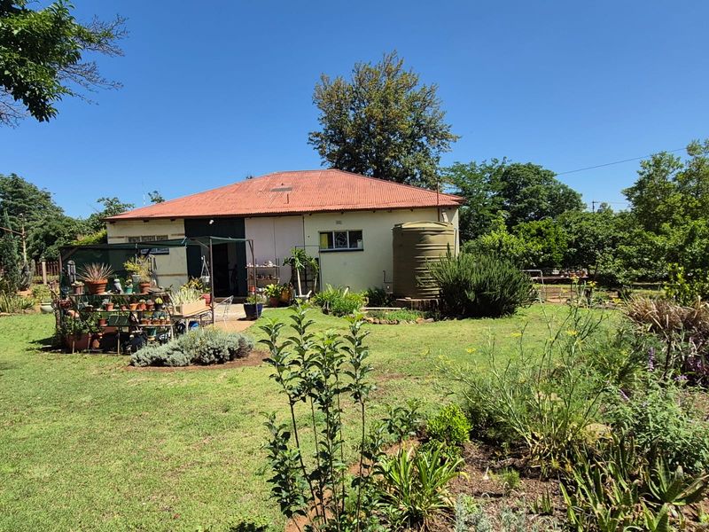 Sole Mandate – Old-World Charm Meets Character and Warmth - Photo 4