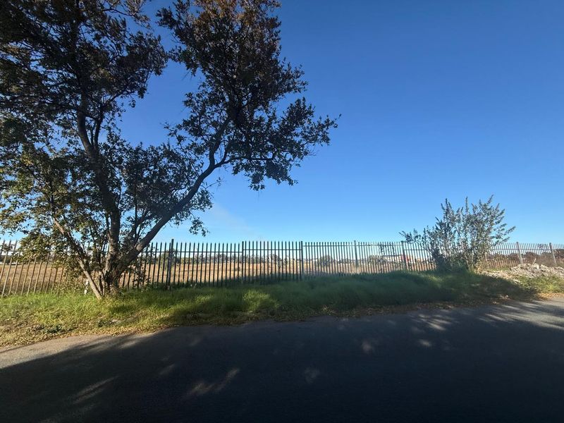 A view of the property boundary featuring a metal palisade fence, mature trees, and an adjacent paved road.