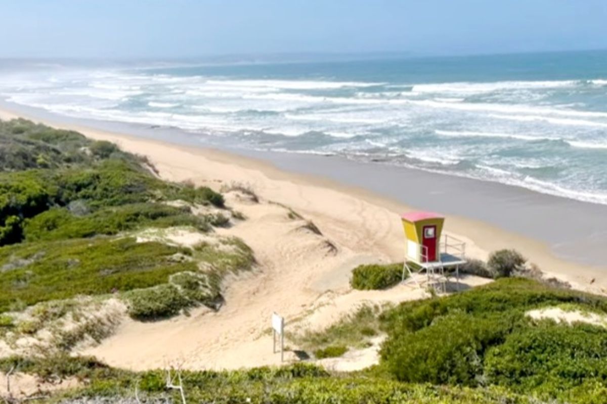 Prime 597m2 Level Stand With Sea Views!  Walk to the Beach! - Photo 5