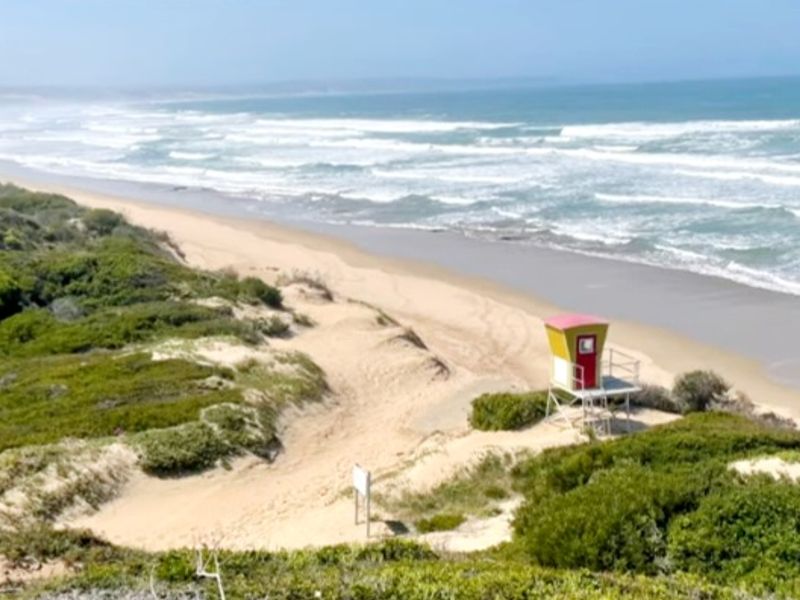 Prime 597m2 Level Stand With Sea Views!  Walk to the Beach! - Photo 5