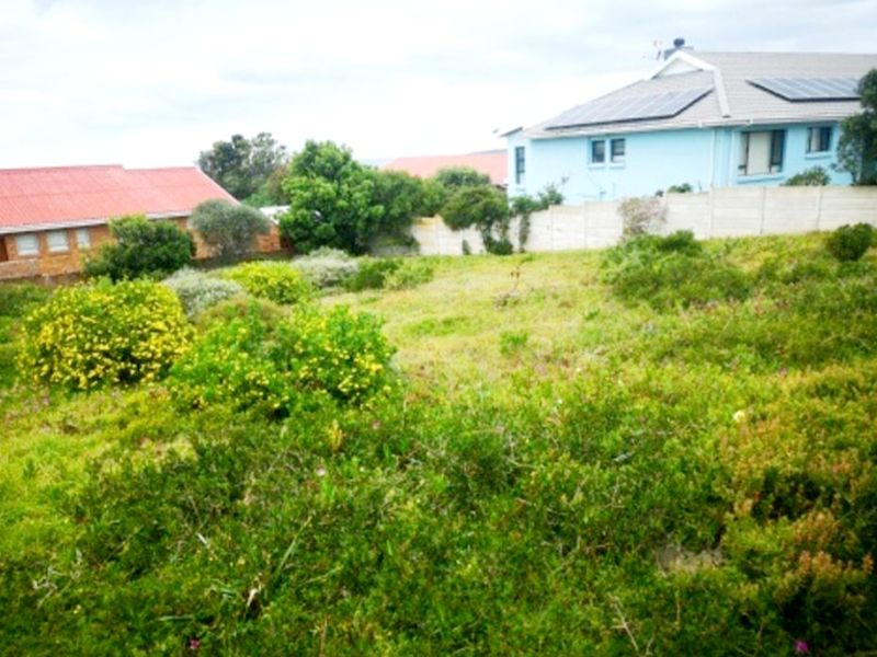 Prime 597m2 Level Stand With Sea Views!  Walk to the Beach! - Photo 9