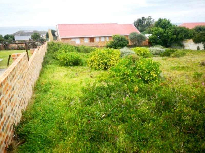 Prime 597m2 Level Stand With Sea Views!  Walk to the Beach! - Photo 6