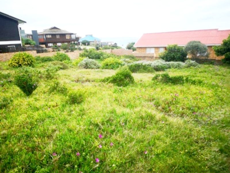 Prime 597m2 Level Stand With Sea Views!  Walk to the Beach! - Photo 7