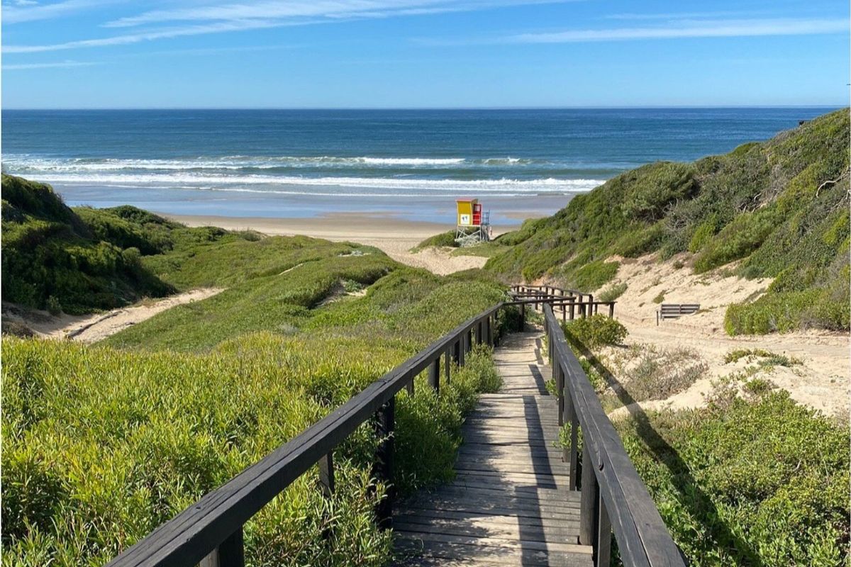 Prime 597m2 Level Stand With Sea Views!  Walk to the Beach! - Photo 4