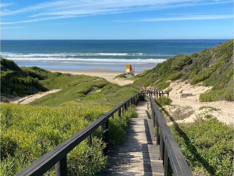 Prime 597m2 Level Stand With Sea Views!  Walk to the Beach! - Photo 4