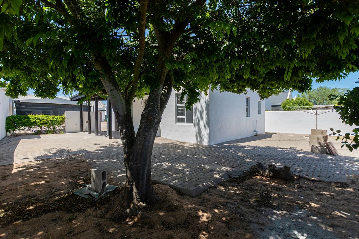 A spacious rear exterior area featuring a paved patio, a covered section, and a mature tree providing shade.