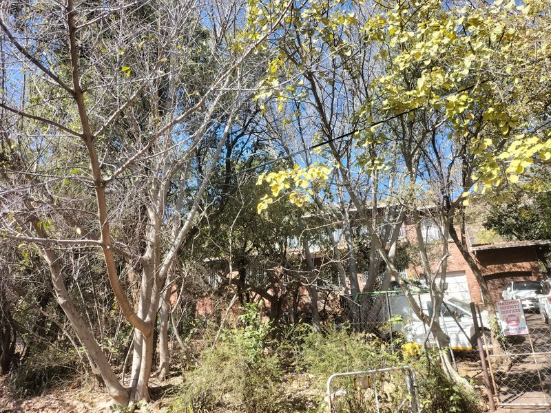 Unveil the Beauty of Florauna's Hidden Gem! - Photo 2