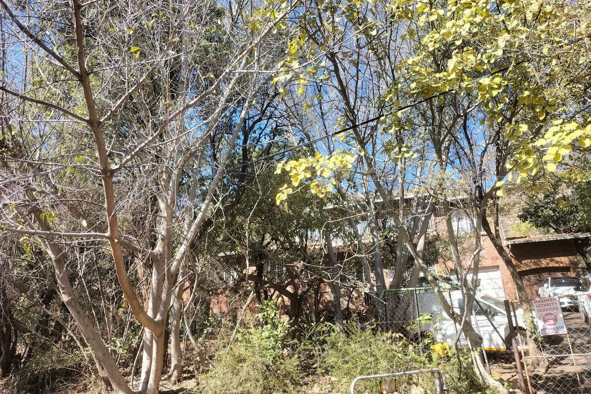 Unveil the Beauty of Florauna's Hidden Gem! - Photo 2