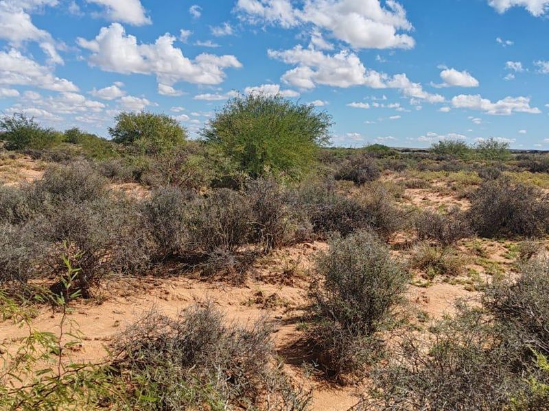 WILLISTON: GOED BEWAARDE KAROOPLAAS MET STANDHOUDENDE WATER - Photo 6