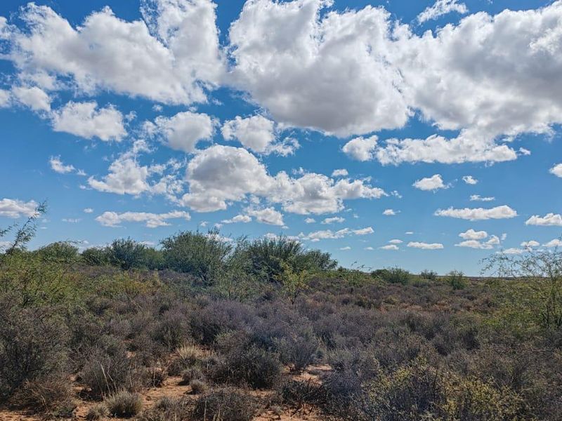 WILLISTON: GOED BEWAARDE KAROOPLAAS MET STANDHOUDENDE WATER - Photo 4