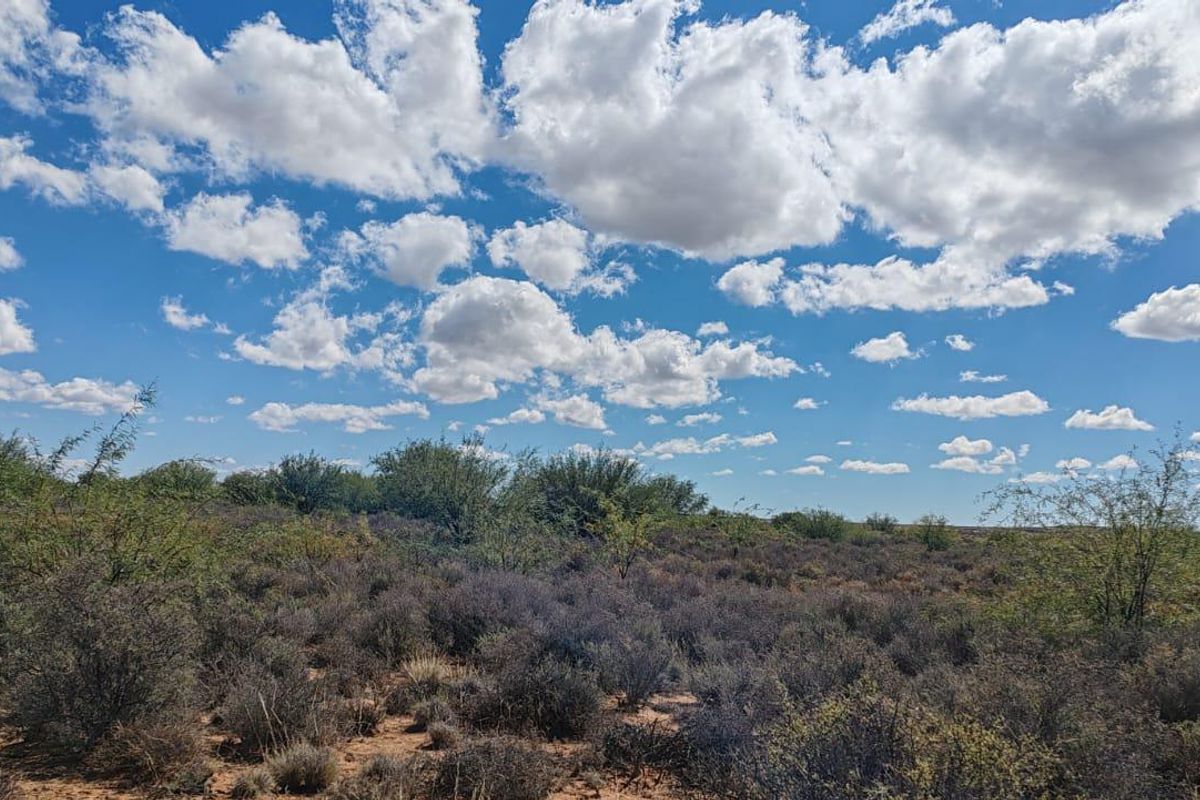 WILLISTON: GOED BEWAARDE KAROOPLAAS MET STANDHOUDENDE WATER - Photo 4