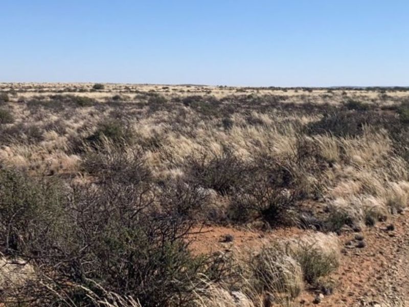 WILLISTON: GOED BEWAARDE KAROOPLAAS MET STANDHOUDENDE WATER - Photo 3