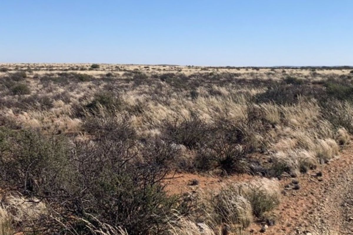 WILLISTON: GOED BEWAARDE KAROOPLAAS MET STANDHOUDENDE WATER - Photo 3