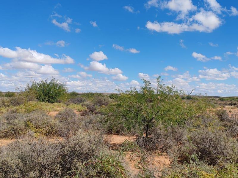 WILLISTON: GOED BEWAARDE KAROOPLAAS MET STANDHOUDENDE WATER - Photo 5