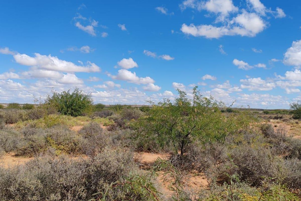WILLISTON: GOED BEWAARDE KAROOPLAAS MET STANDHOUDENDE WATER - Photo 5