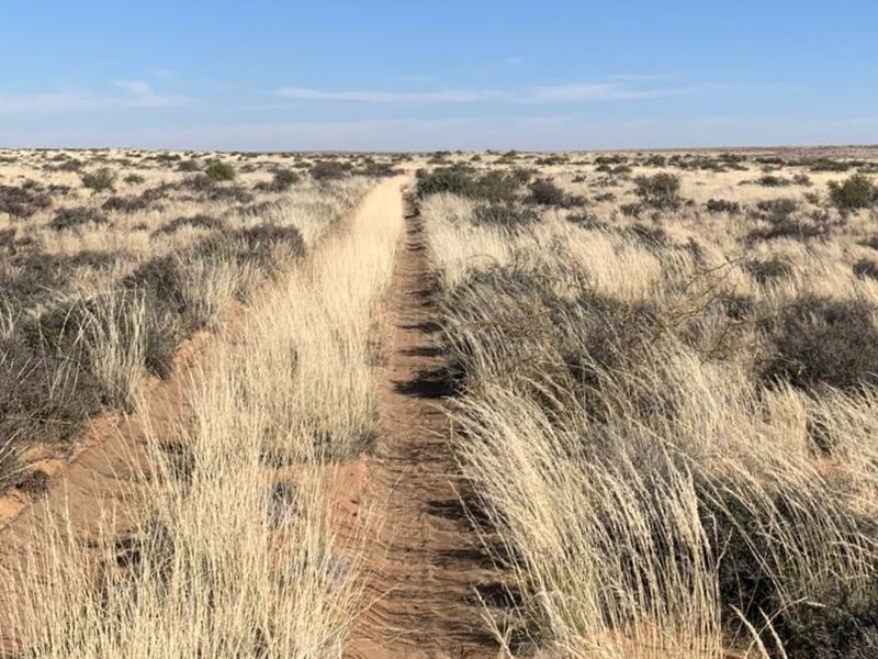 WILLISTON: GOED BEWAARDE KAROOPLAAS MET STANDHOUDENDE WATER - Photo 2