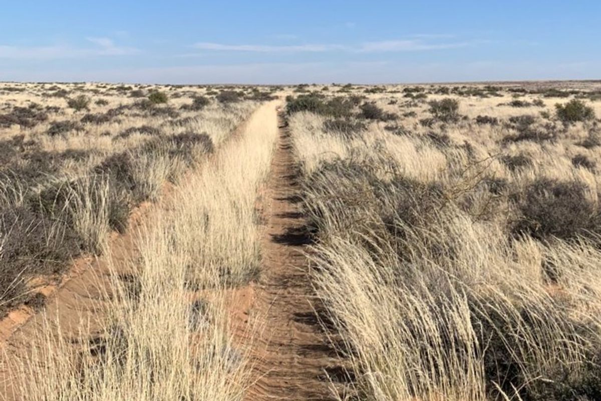 WILLISTON: GOED BEWAARDE KAROOPLAAS MET STANDHOUDENDE WATER - Photo 2