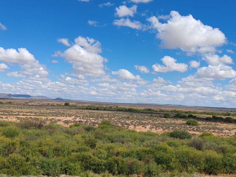 WILLISTON: GOED BEWAARDE KAROOPLAAS MET STANDHOUDENDE WATER - Photo 8