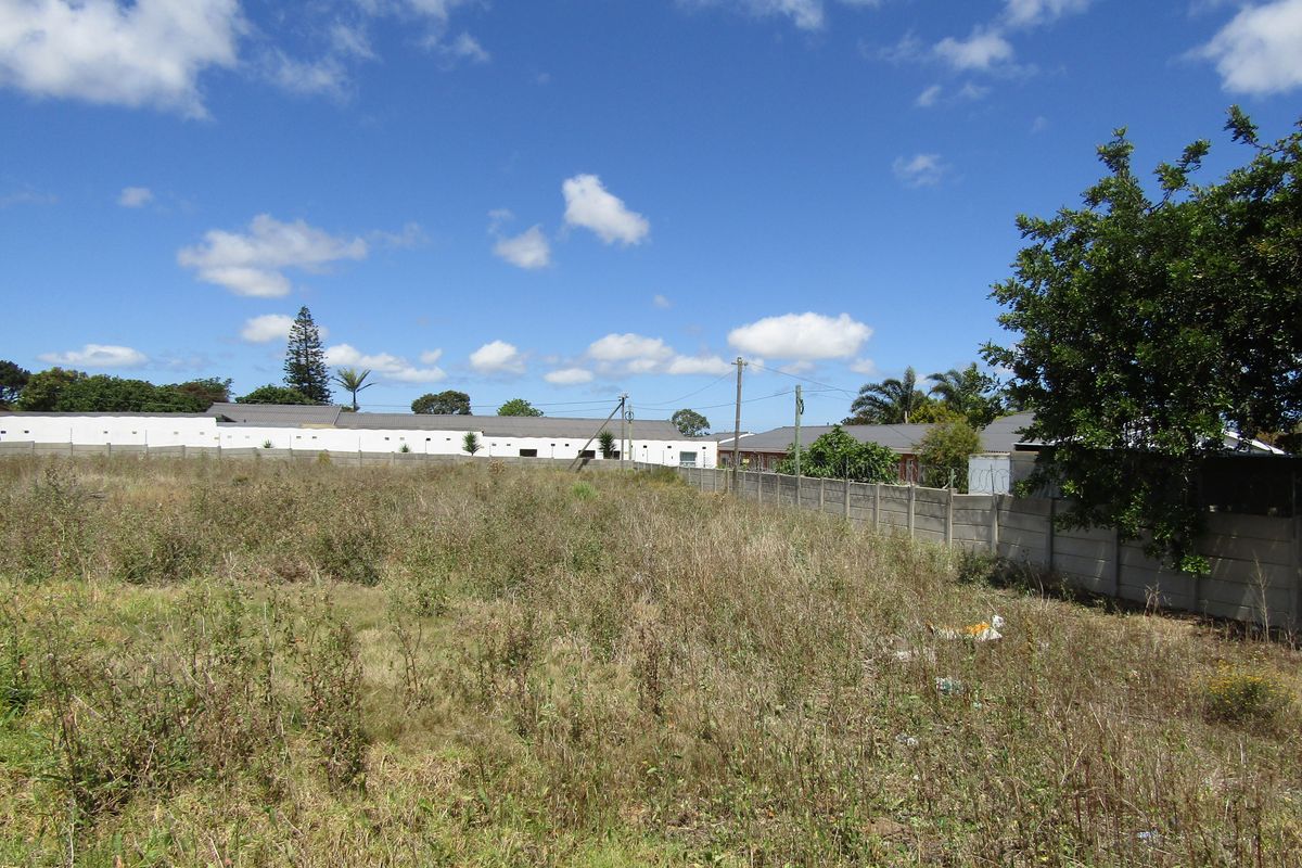 A Rare Find - Photo 4