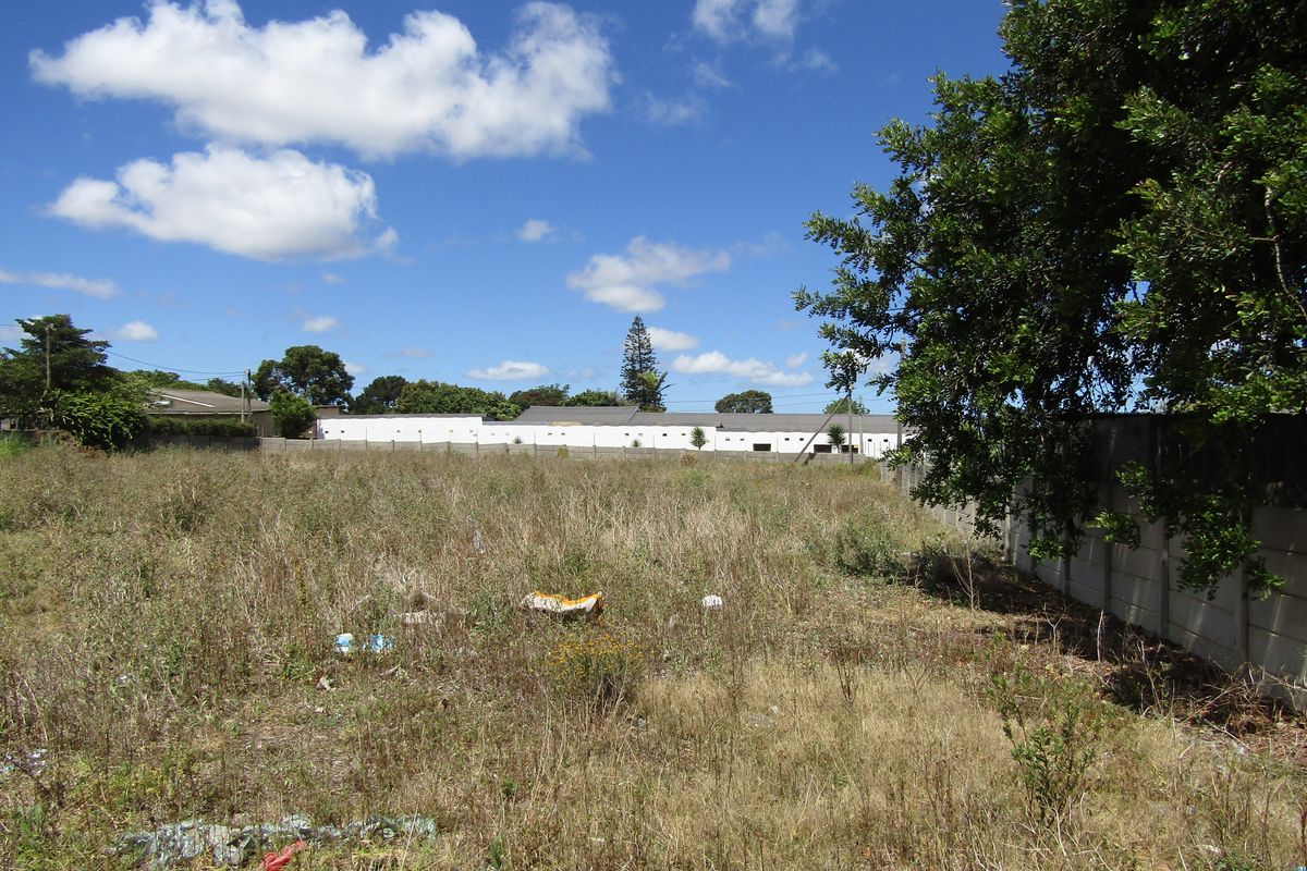 A Rare Find - Photo 5