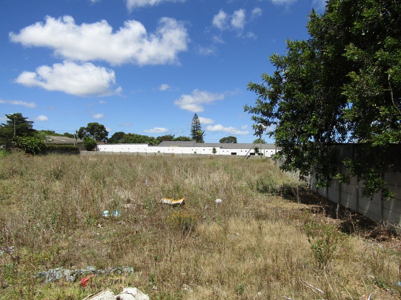 A Rare Find - Photo 5