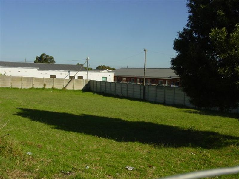 A Rare Find - Photo 8