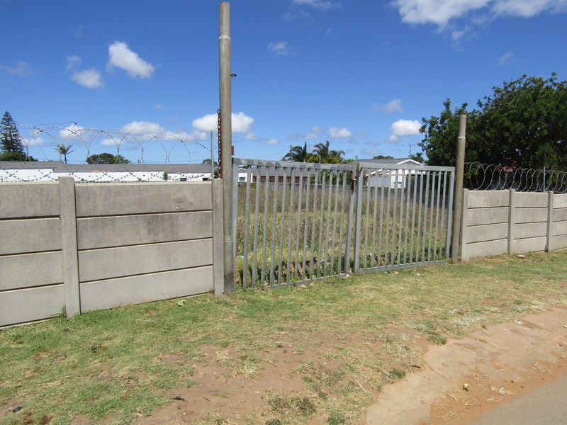 A Rare Find - Photo 7