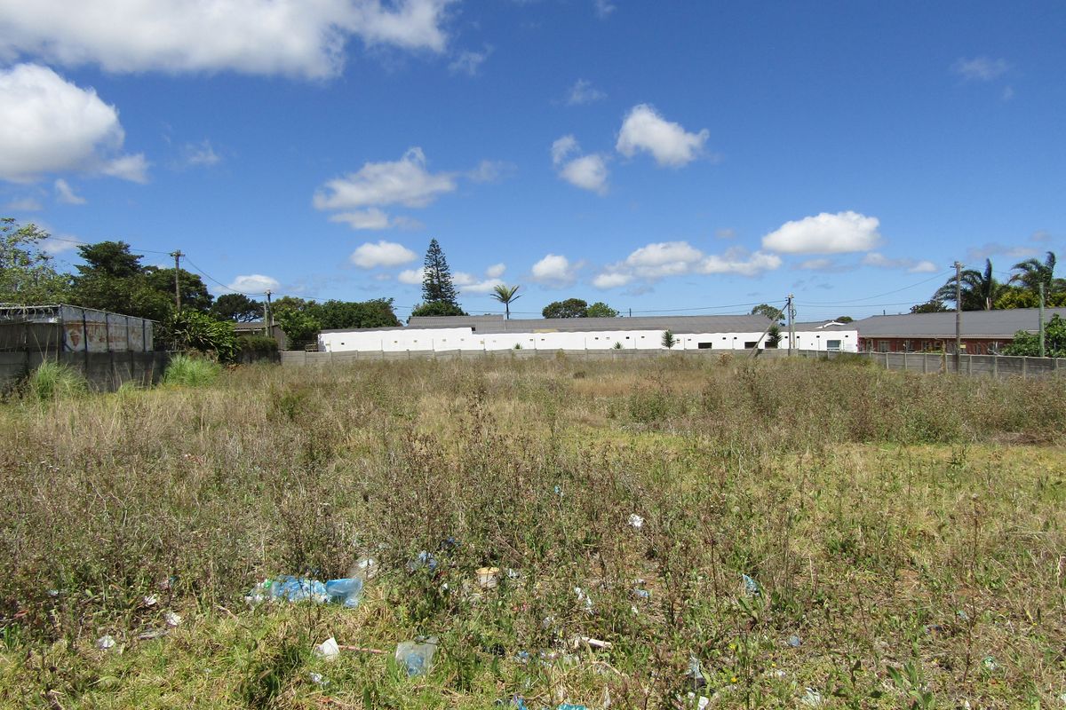 A Rare Find - Photo 2