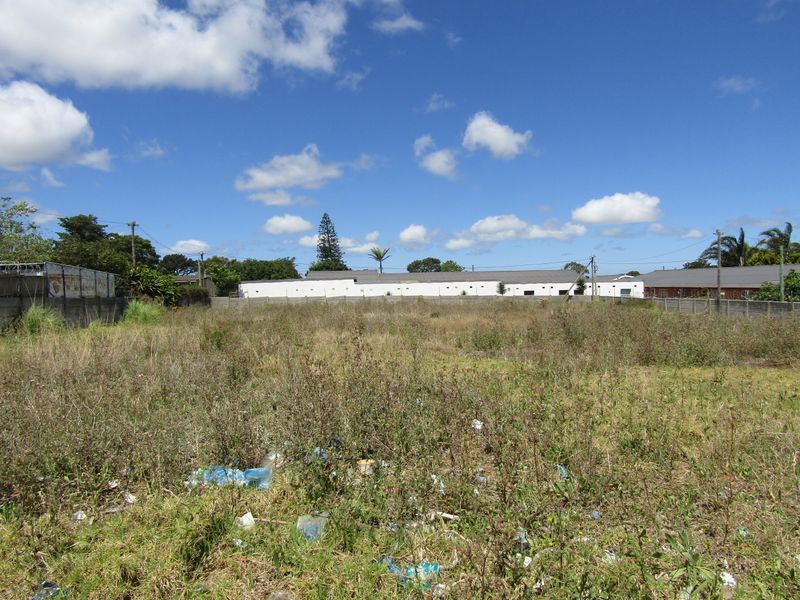 A Rare Find - Photo 2