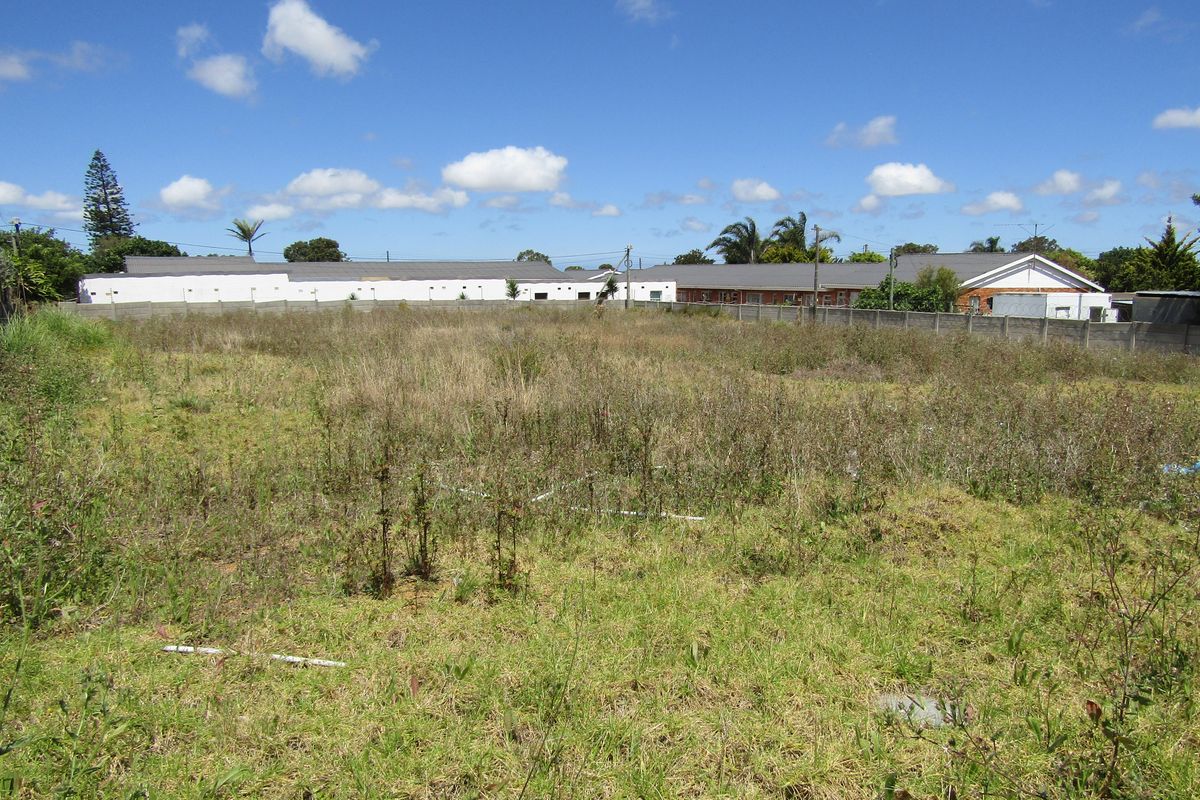 A Rare Find - Photo 3