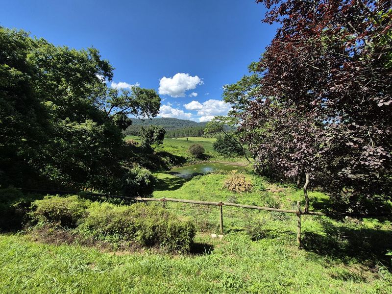 A Rare Opportunity to Restore an Old Midlands Landmark - Photo 6