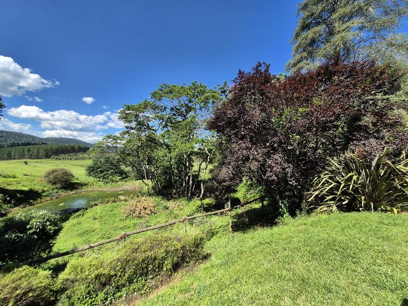 A Rare Opportunity to Restore an Old Midlands Landmark - Photo 9