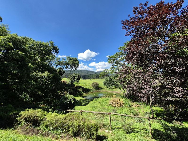 A Rare Opportunity to Restore an Old Midlands Landmark - Photo 8