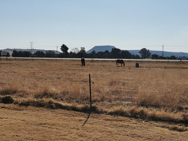 6.68-Hectare smallholding - approved for Commercial/Light Industrial zoning. - Photo 10
