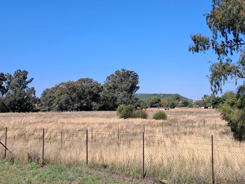 6.68-Hectare smallholding - approved for Commercial/Light Industrial zoning. - Photo 8