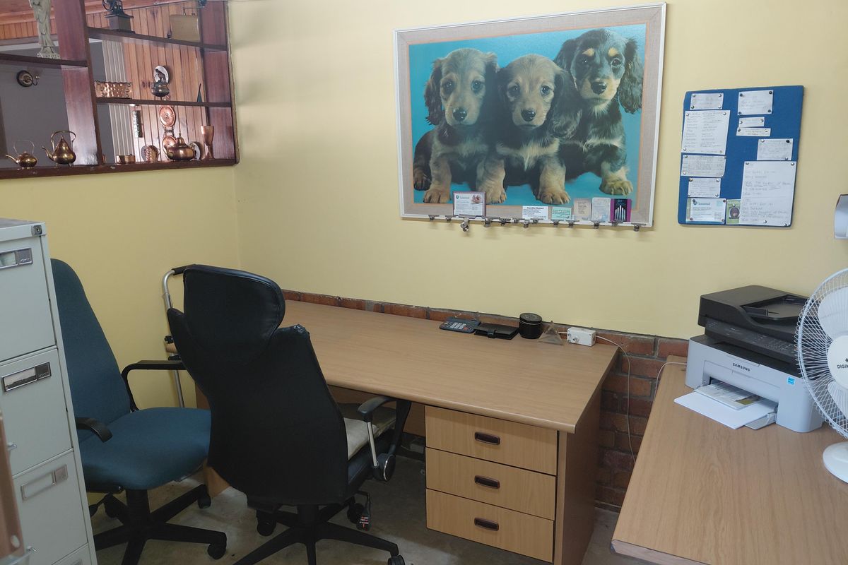 Spacious & Versatile Home in Convenient Location – 16 Wernich Street, Despatch - Photo 5