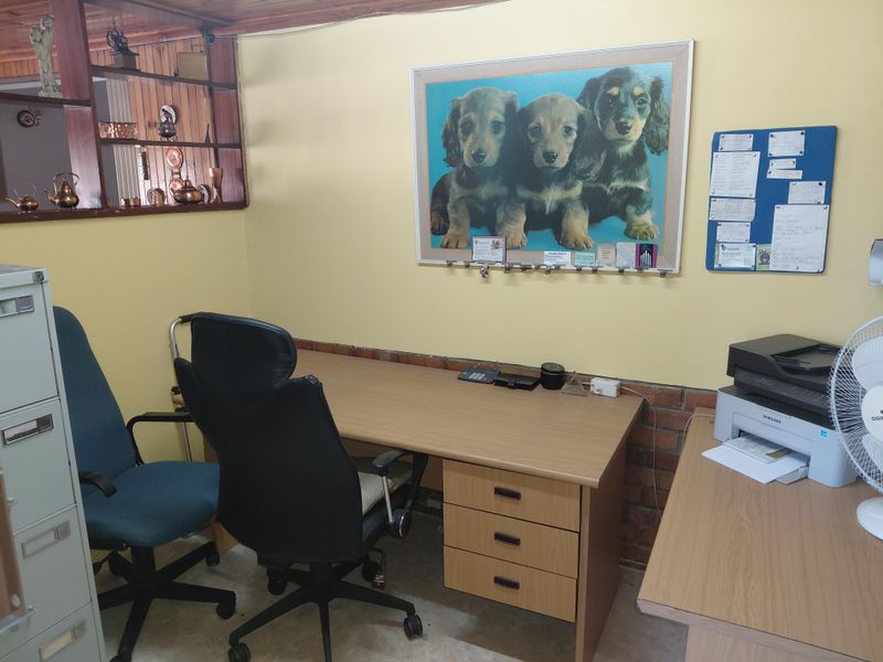 Spacious & Versatile Home in Convenient Location – 16 Wernich Street, Despatch - Photo 5