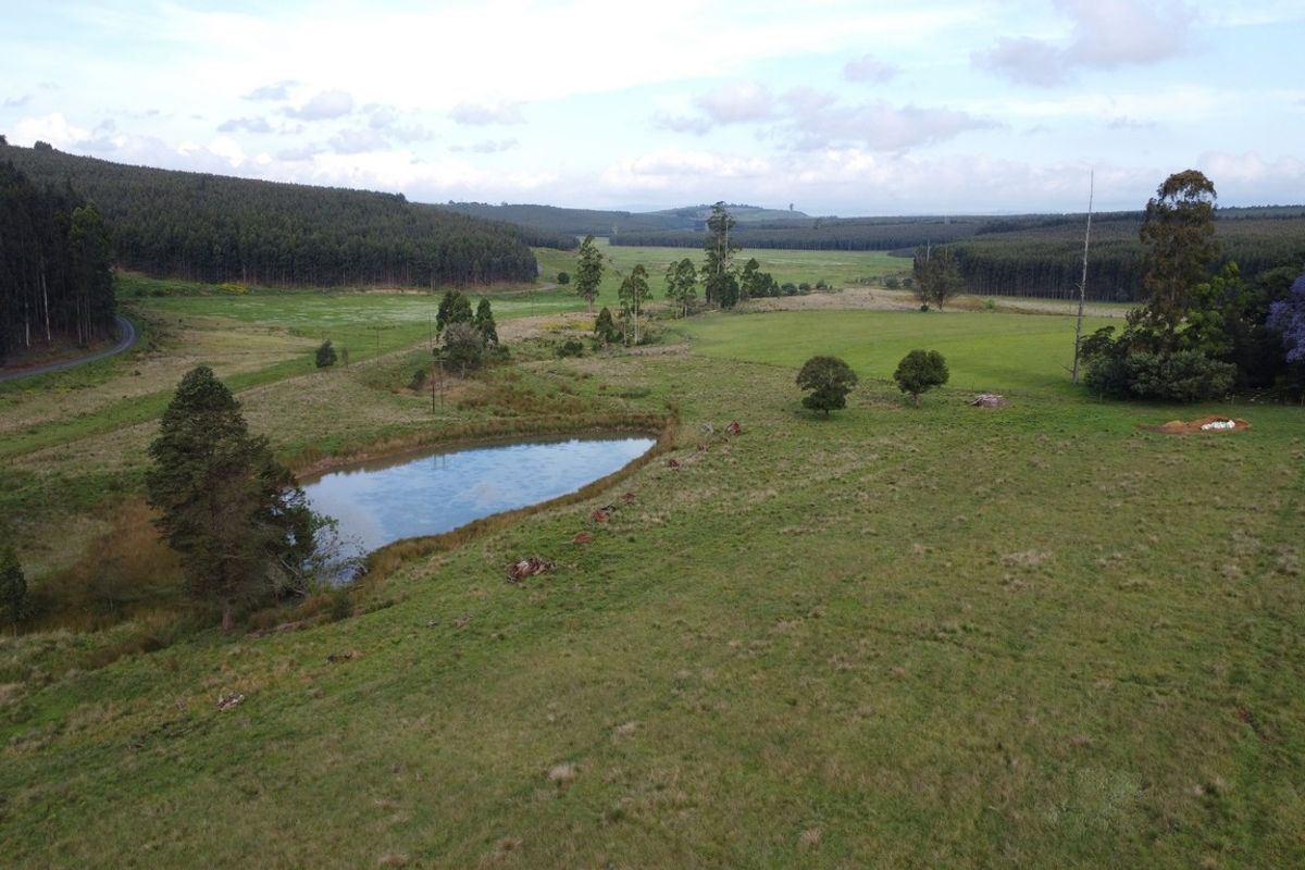 An aerial view of the expansive farm landscape featuring open grazing fields, mature trees, and a natural farm dam.