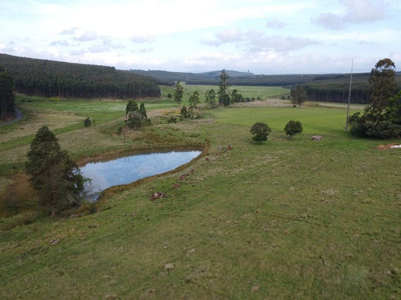 An aerial view of the expansive farm landscape featuring open grazing fields, mature trees, and a natural farm dam.