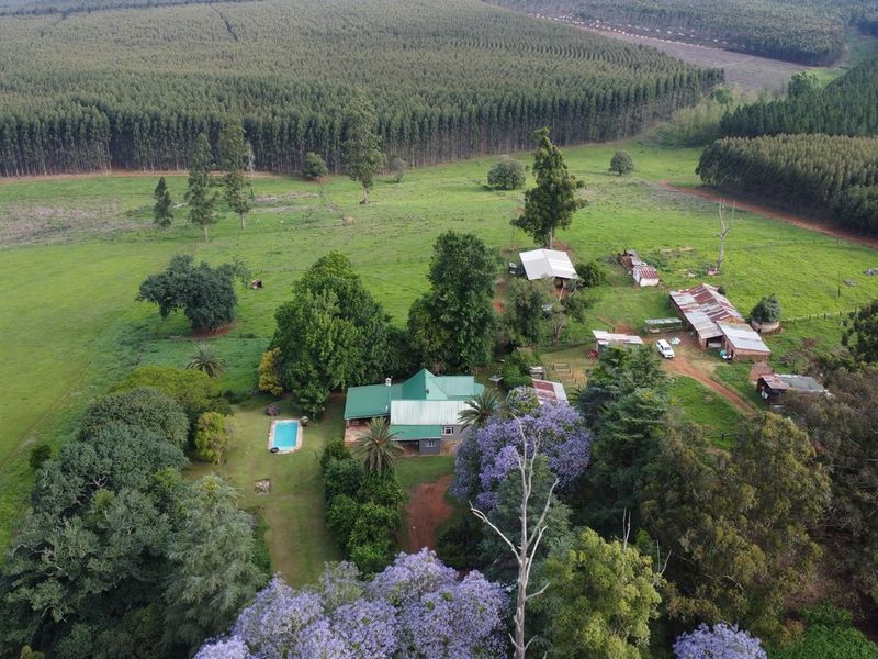 Aerial view of a farm property featuring a main residence with a swimming pool, surrounded by extensive green pastures and mature trees.