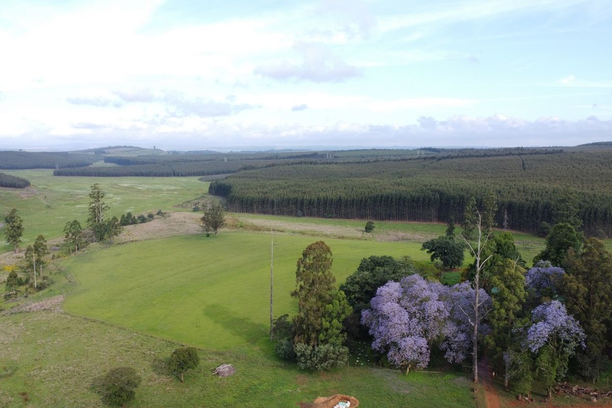 An expansive aerial view of the farm property, showcasing lush green pastures, mature trees, and surrounding forestry.
