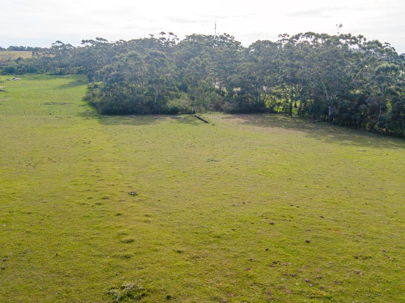 Land for sale in Alexandria - Photo 7